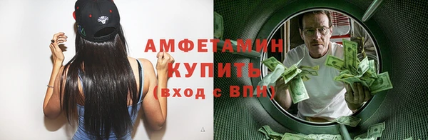 ПСИЛОЦИБИНОВЫЕ ГРИБЫ Осинники